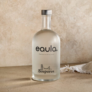 Large Sparkling Water